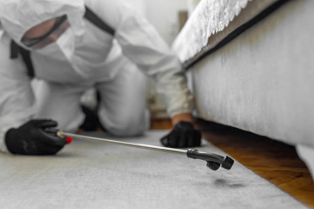 Professional Bed Bug Control technician working in Harvest, AL