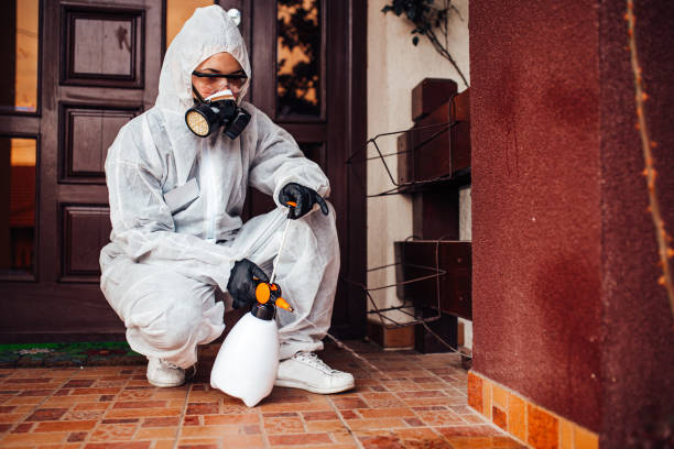 Reliable Bed Bug Control contractor in Harvest, AL by Nex Pest Control