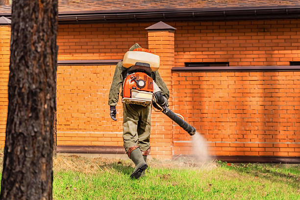 Trusted Mosquito Control service in Harvest, AL - Nex Pest Control